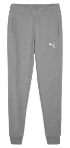 Спортивні штани Puma TEAMGOAL CASUALS сірі 658598-33