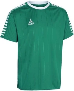 Футболка Select Argentina player shirt зеленая 622500-005