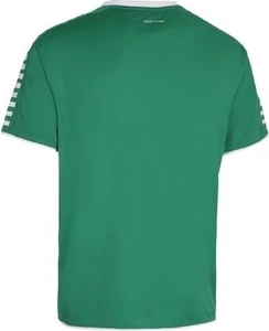 Футболка Select Argentina player shirt зелена 622500-005