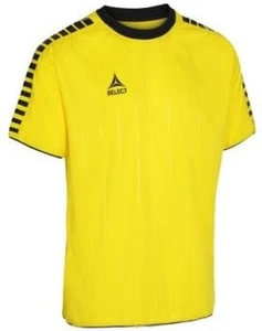 Футболка Select Argentina player shirt желто-черная 622500-012
