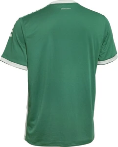 Футболка SELECT Monaco player shirt зеленая 620000-003