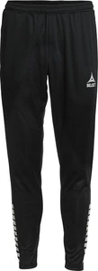 Тренировочные штаны SELECT Monaco training pants черные 620060-009