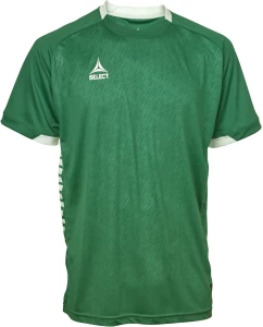 Футболка Select SPAIN PLAYER SHIRT S/S зелена 620300-444