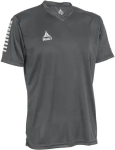 Футболка Select PISA PLAYER SHIRT S/S сіра 624130-990