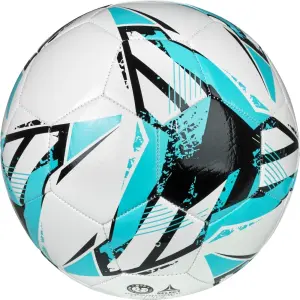 Футбольний м'яч Select CLASSIC V26 біло-блакитний Розмір 3 099380-001