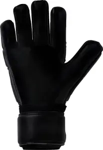 Вратарские перчатки Uhlsport COMFORT ABSOLUTGRIP HN черные 1011349 01