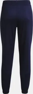 Спортивные штаны женские Under Armour ARMOUR MIXED MEDIA темно-сине-розовые 1365877-410