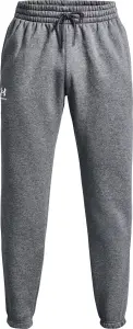 Спортивные штаны Under Armour ICON FLEECE серые 1373882-012