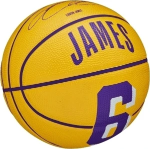 Баскетбольний м'яч Wilson NBA PLAYER ICON MINI LEBRON JAMES жовто-фіолетовий Розмір 3 WZ4007201XB3