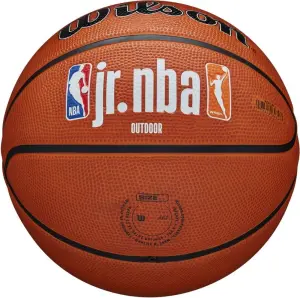 Баскетбольний м'яч Wilson JR NBA FAM LOGO AUTH OUTDOOR помаранчевий Розмір 5 WZ3011801XB5