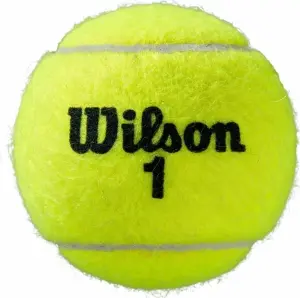 Набор мячей для тенниса Wilson ROLAND GARROS CLAY COURT 3 желтый (3 штуки) WRT125000