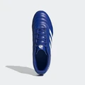 Бутси Adidas Copa 20.4 FG сині EH1485