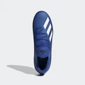 Бутсы Adidas X 19.3 FG синие EG7130