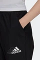 Штаны спортивные Adidas W Q3 BLUV PT черные GS1355