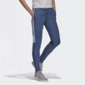 Спортивные штаны женские Adidas W SERE19 TRG PT синие GL3797