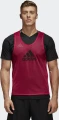 Манішка футбольна Adidas TRAINING BIB 14 рожева F82134