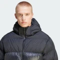 Куртка Adidas ADICOLOR DOWN REGEN HOODED PUFFER чорна IL2572