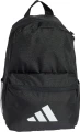 Рюкзак дитячий Adidas LOGO KIDS 11,5L чорний JD1303