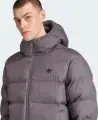 Куртка Adidas TONAL HOODED серая JX4122