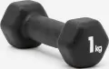 Гантели Adidas DUMBBELLS черные (2 х 1,0 кг) ADWT-11401-NL