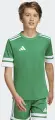 Футболка джерсі дитяча Adidas SQUADRA 25 JERSEY зелено-біла JN7486