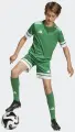 Футболка джерсі дитяча Adidas SQUADRA 25 JERSEY зелено-біла JN7486