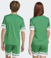 Футболка джерсі дитяча Adidas SQUADRA 25 JERSEY зелено-біла JN7486