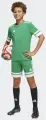 Шорти футбольні дитячі Adidas SQUADRA 25 SHORTS зелено-білі JN7484