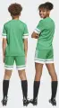 Шорти футбольні дитячі Adidas SQUADRA 25 SHORTS зелено-білі JN7484