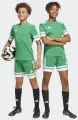 Шорти футбольні дитячі Adidas SQUADRA 25 SHORTS зелено-білі JN7484