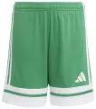 Шорти футбольні дитячі Adidas SQUADRA 25 SHORTS зелено-білі JN7484
