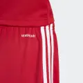 Шорти футбольні дитячі Adidas SQUADRA 25 SHORTS червоно-білі JJ2416