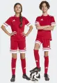 Шорти футбольні дитячі Adidas SQUADRA 25 SHORTS червоно-білі JJ2416