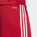 Шорти футбольні Adidas SQUADRA 25 SHORTS червоно-білі JE7745