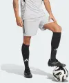 Шорты футбольные Adidas TIRO 25 COMPETITION MATCH SHORTS светло-серые JG1059
