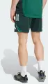 Шорти тренувальні Adidas TIRO 25 COMPETITION TRAINING SHORTS зелено-темно-зелені JI6576