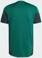 Футболка джерсі Adidas TIRO 25 COMPETITION TRAINING JERSEY темно-зелено-зелена JI8942