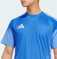 Футболка воротарська Adidas TIRO 25 COMPETITION GOALKEEPER JERSEY блакитна JI9715