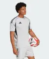 Футболка джерси Adidas TIRO 25 COMPETITION MATCH JERSEY светло-серая JF6081