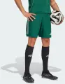 Шорты футбольные Adidas TIRO 25 COMPETITION MATCH SHORTS темно-зеленые JG1060
