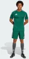 Футболка джерсі Adidas TIRO 25 COMPETITION MATCH JERSEY темно-зелена JF6083
