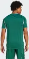 Футболка джерсі Adidas TIRO 25 COMPETITION MATCH JERSEY темно-зелена JF6083