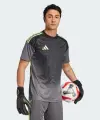 Футболка воротарська Adidas TIRO 25 COMPETITION GOALKEEPER JERSEY темно-сіра JN2015
