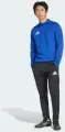 Реглан тренировочный Adidas ENTRADA 26 TRAINING TOP сине-белый JZ6655