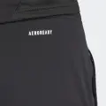 Спортивные штаны Adidas TIRO 25 COMPETITION TRAINING PANTS черно-серые IW0415