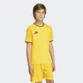 Футболка дитяча Adidas ENTRADA 26 JERSEY жовто-чорна JZ2529