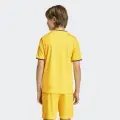 Футболка дитяча Adidas ENTRADA 26 JERSEY жовто-чорна JZ2529