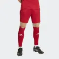 Шорти Adidas ENTRADA 26 SHORTS червоно-білі JZ2517