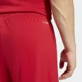 Шорти Adidas ENTRADA 26 SHORTS червоно-білі JZ2517