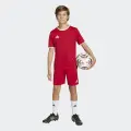 Шорти дитячі Adidas ENTRADA 26 SHORTS червоно-білі JZ6528